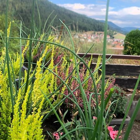 Appartement Mit Herrlicher Aussicht Uebers Murgtal Baiersbronn Esterno foto